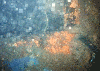 Dive on wreck of Blue Crown