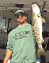 weakfish